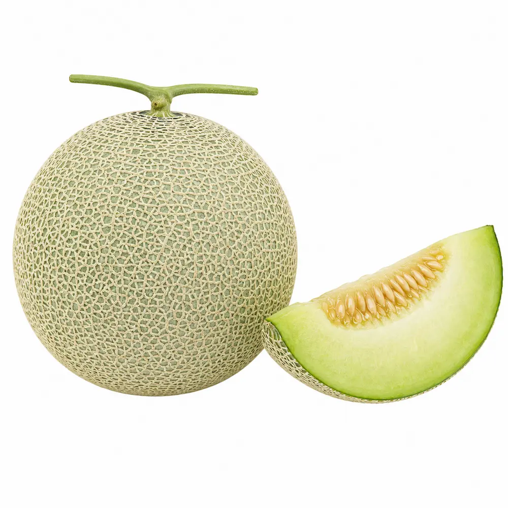 淡緑の皮に細かい網目が入った茨城県オリジナル品種のイバラキングメロン