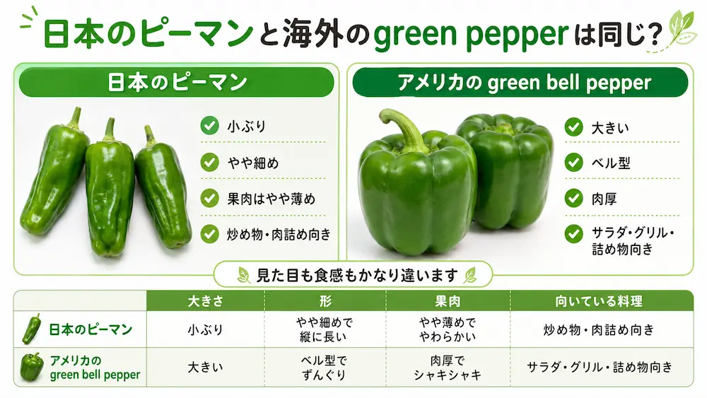 日本のピーマンとアメリカのgreen bell pepperを比較した図解