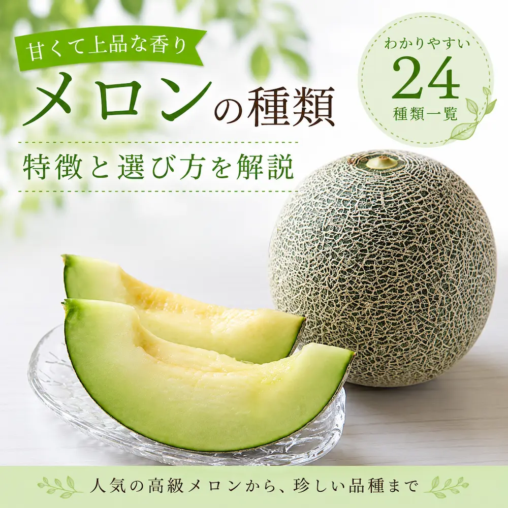 メロンの種類一覧と特徴をわかりやすく紹介する画像